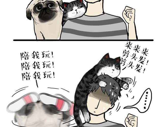 第10话 一碗饭11
