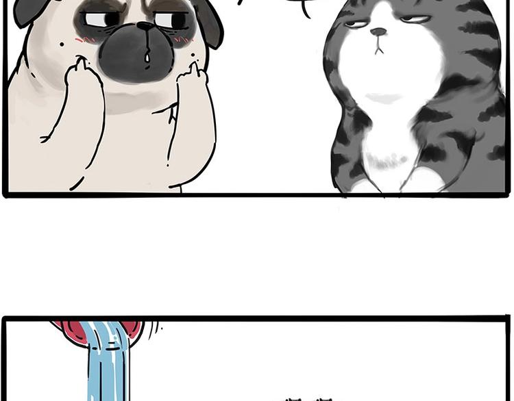 第197话 猫怼狗43
