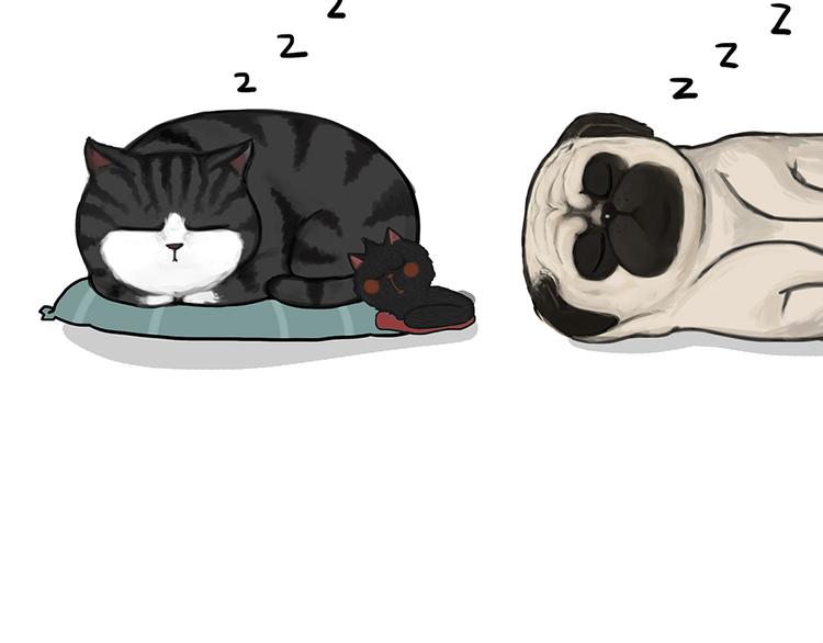 第51话 猫和狗的待遇就是不同16