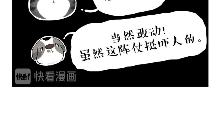 第267话 不让你流浪93