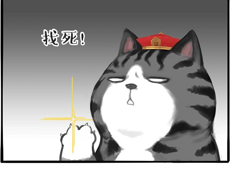 第197话 猫怼狗56