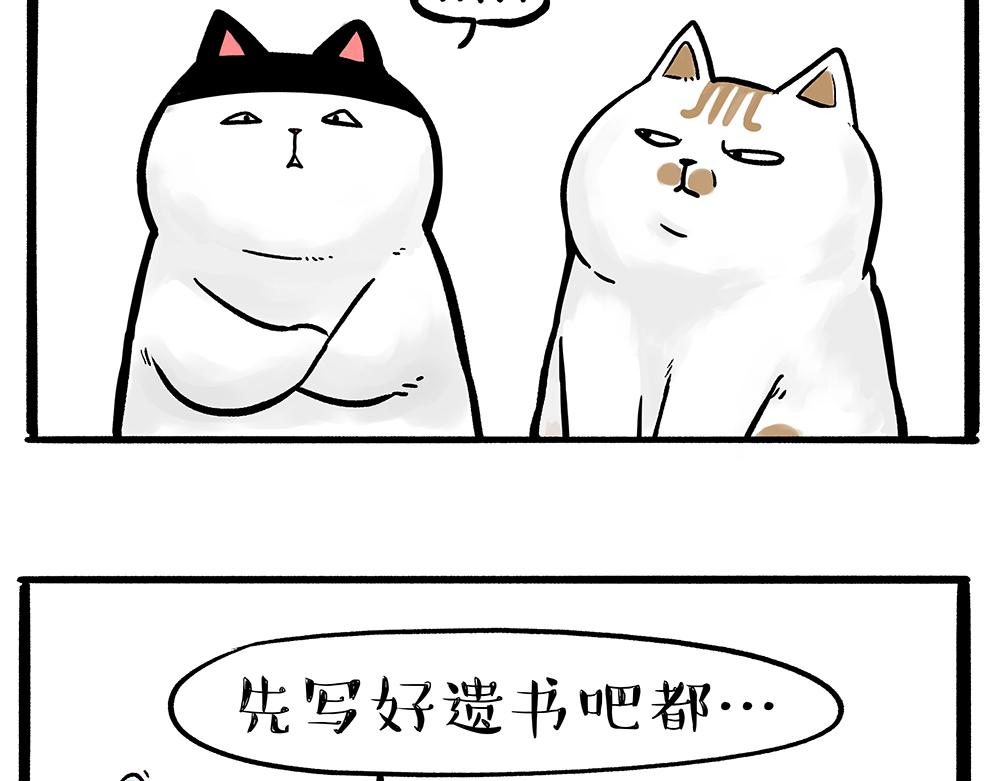 第331话 猫王争霸之“杀青”7