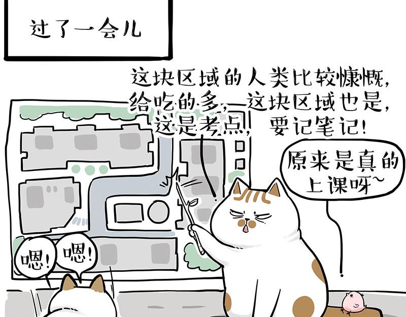 第308话 恶霸最大！5