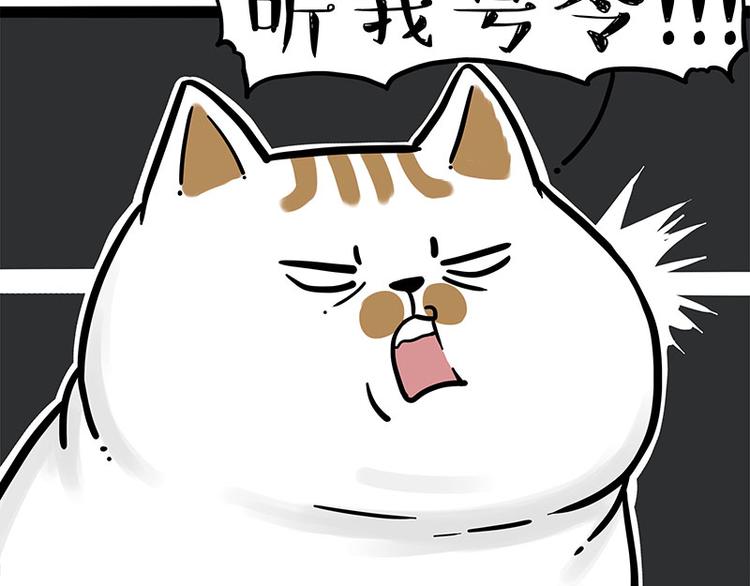 第271话 进击的流浪猫！7