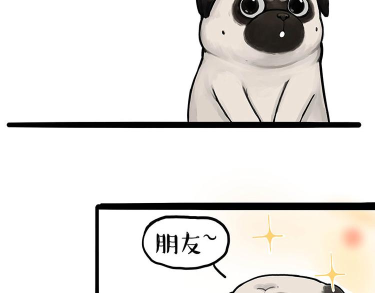 第247话 巴扎猪50