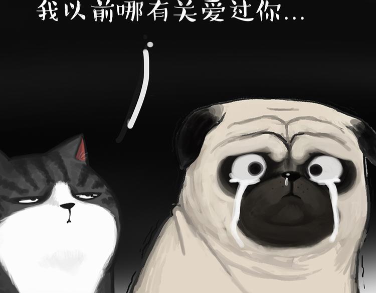 第49话 只见新人笑未闻旧人哭23