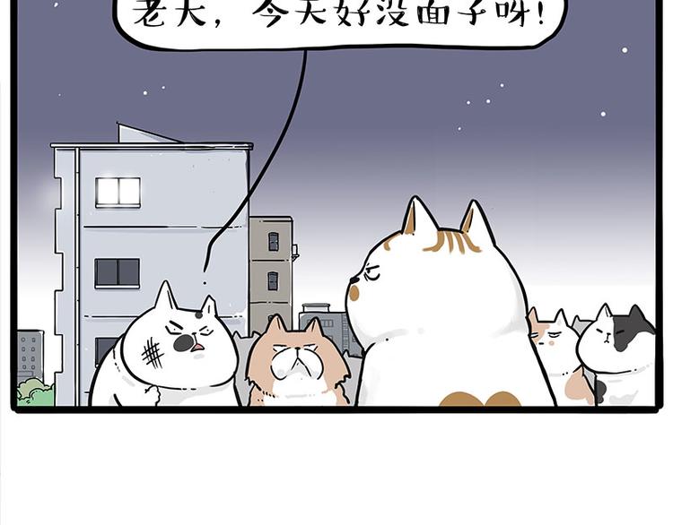 第235话 是亲生的没错吧？71