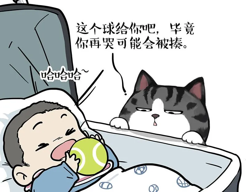 第377话 谢谢小猫咪4