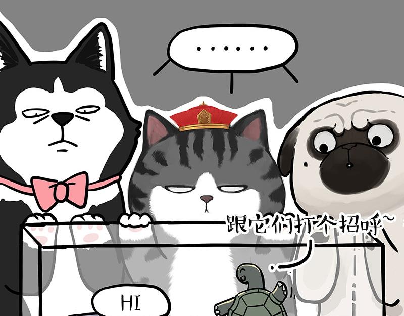 第298话 龟与狗与世界10