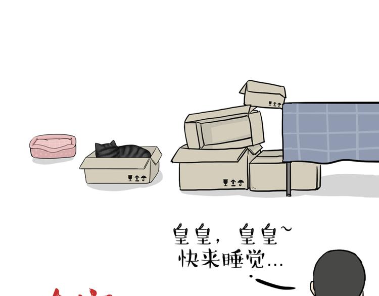第38话 猫星人的三宫六院14