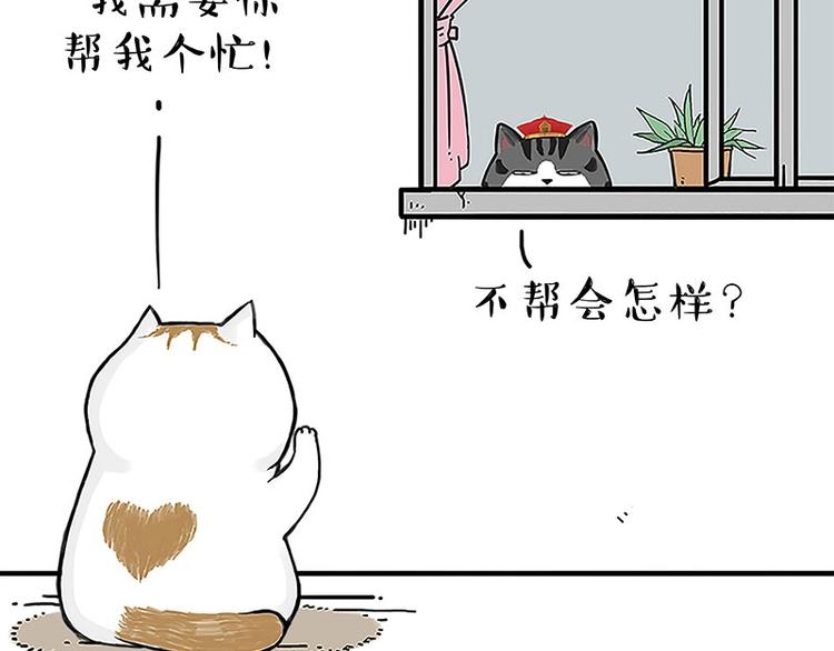 第167话 猫王争霸赛2