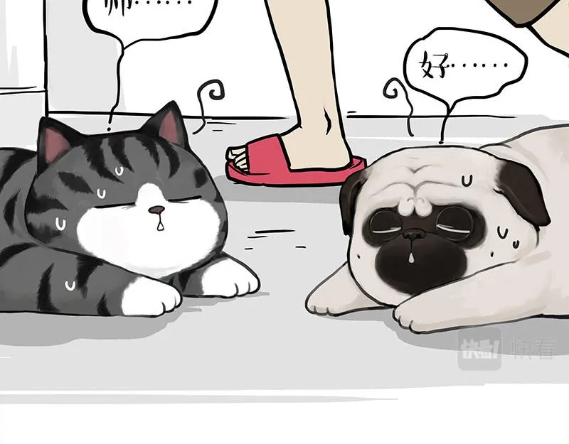 第383话 苦夏11