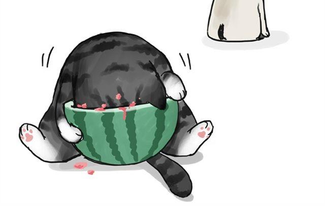 第16话 我家猫怎么能牺牲色相19