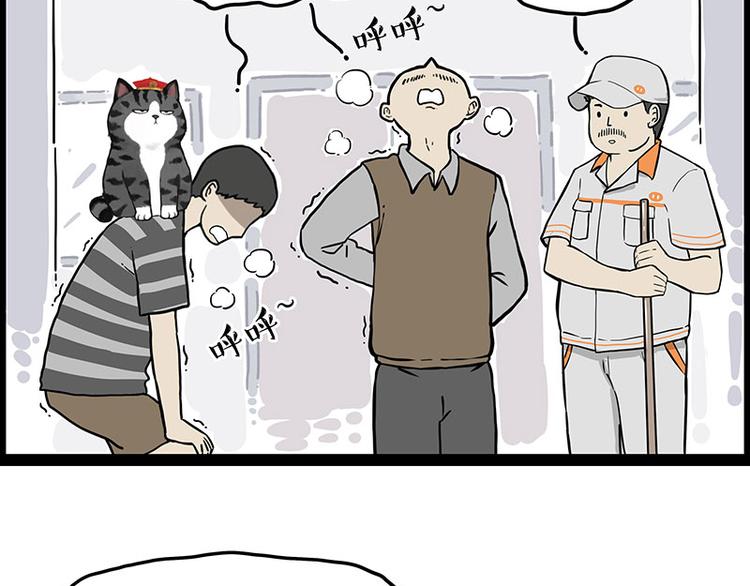 第247话 巴扎猪10