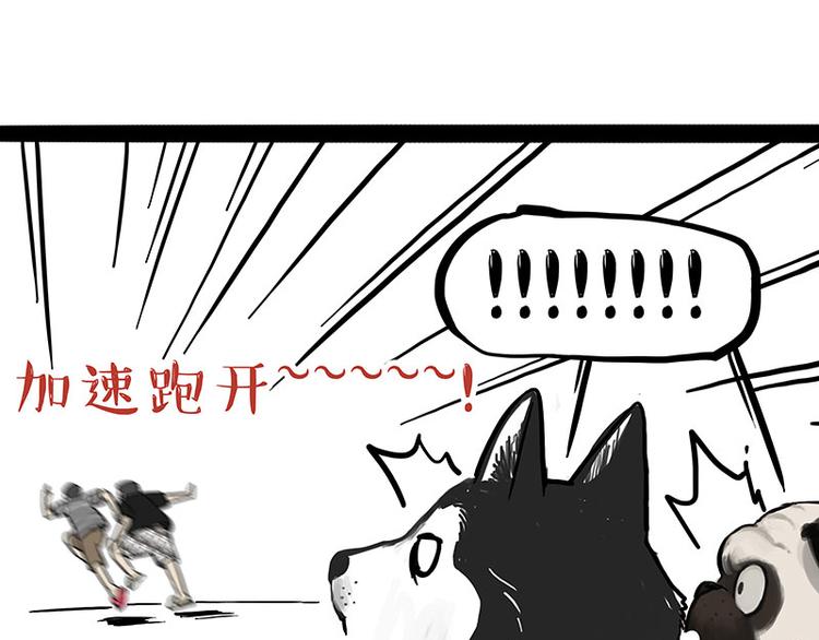 第223话 狗知识增加了19