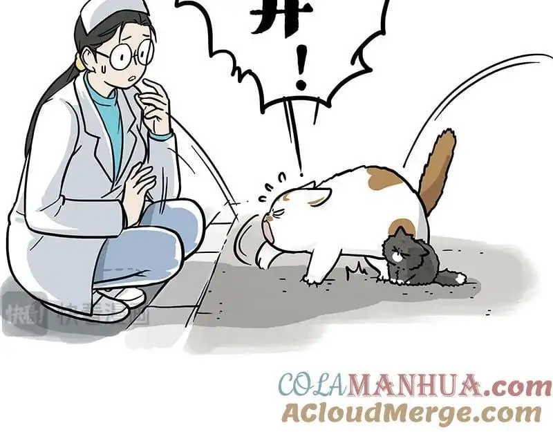 第402话 送走！所有！6