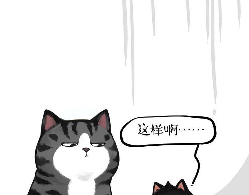 第359话 猫洛芬28