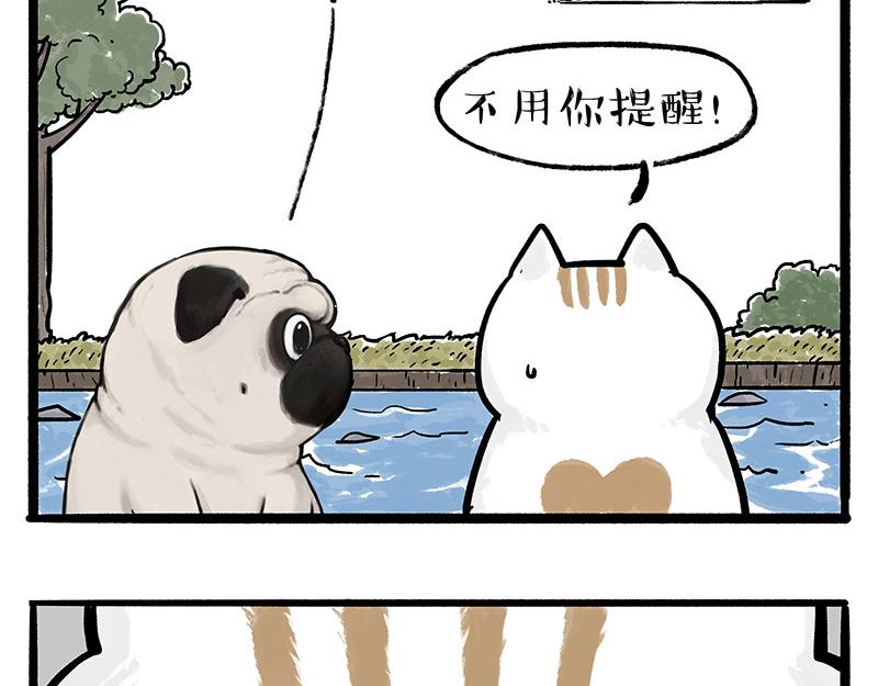 第331话 猫王争霸之“杀青”20