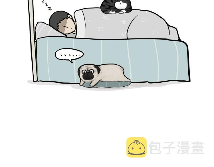 第75话 猫奴被嫌弃了29