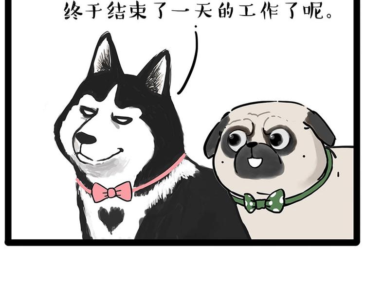 第194话 生活不易，猫狗打工42