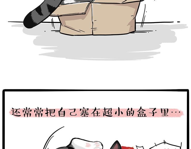 第226话 表情帝24
