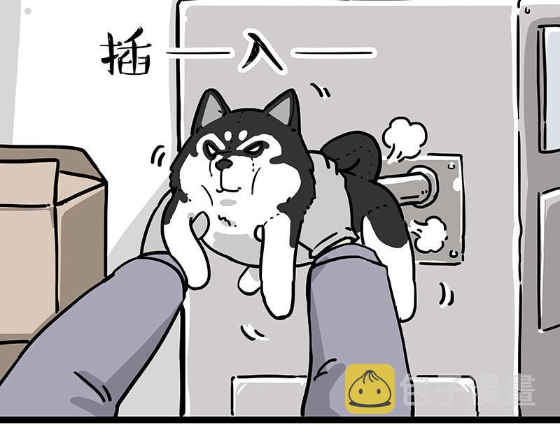 第304话 你是真的狗10