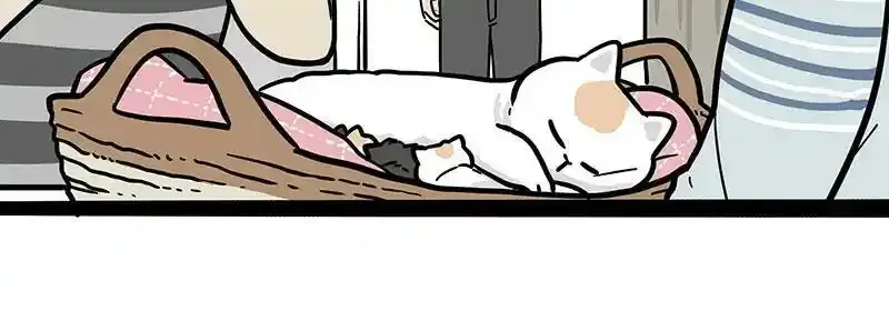 第380话 登峰造极35