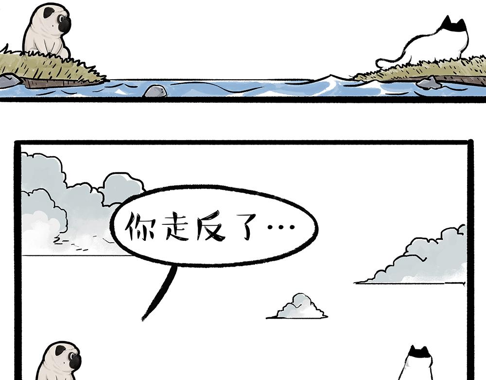 第331话 猫王争霸之“杀青”48