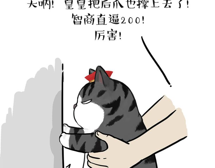 第294话 教狗游泳难度爆棚34