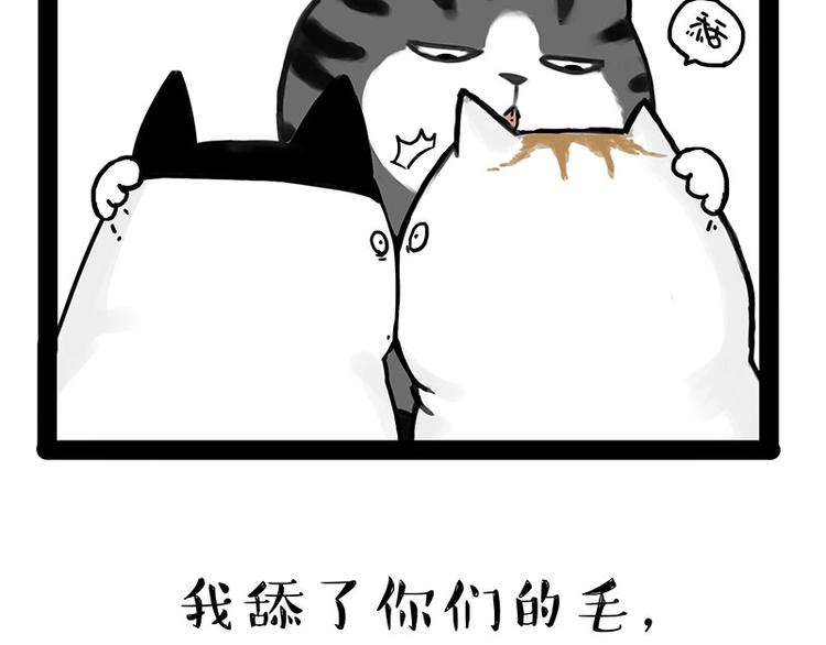第167话 猫王争霸赛53