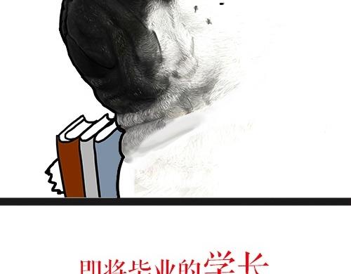 第24话 为什么上厕所要偷看24