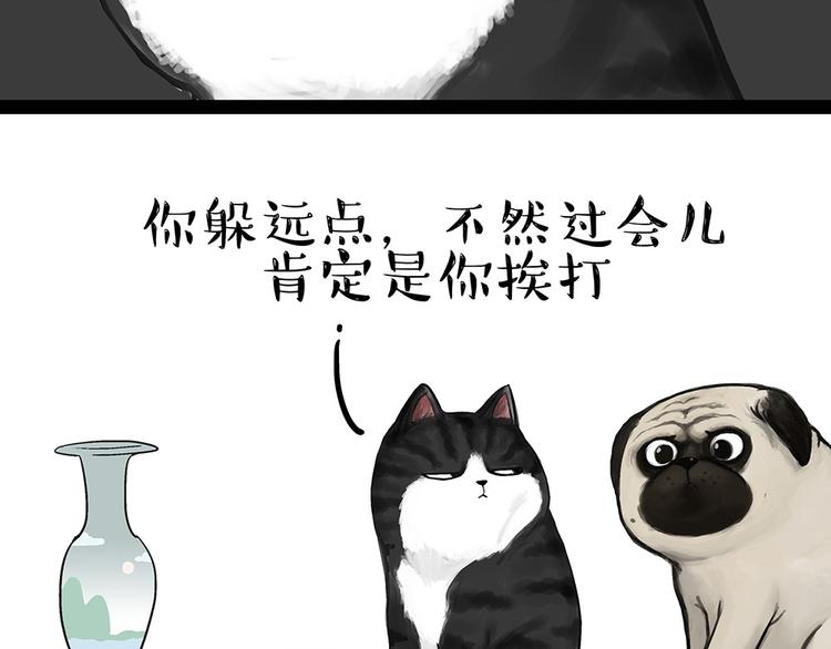 第54话 太受关注也不是好事14