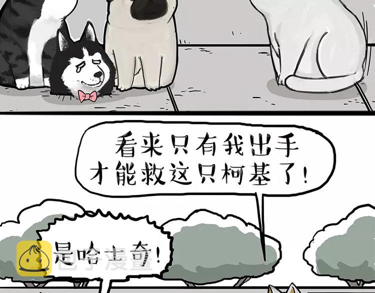第105话 劲往一处使19