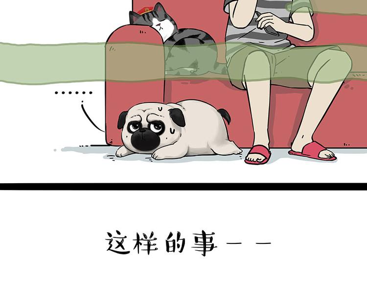 第210话 巴扎黑是最委屈的狗4