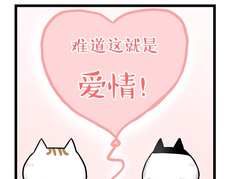 第284话 美喵竟是我自己26