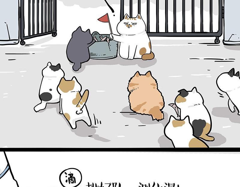 第328话 核酸后遗症21