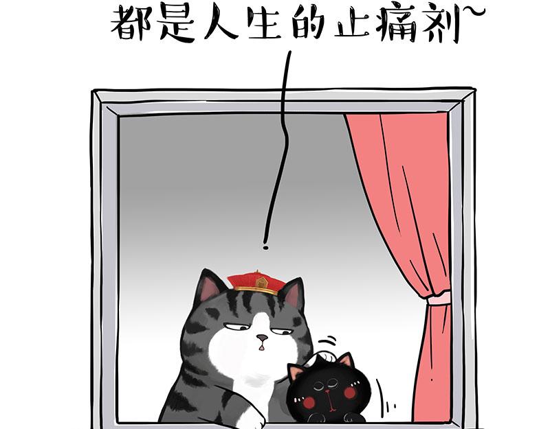 第344话 人生止痛剂45