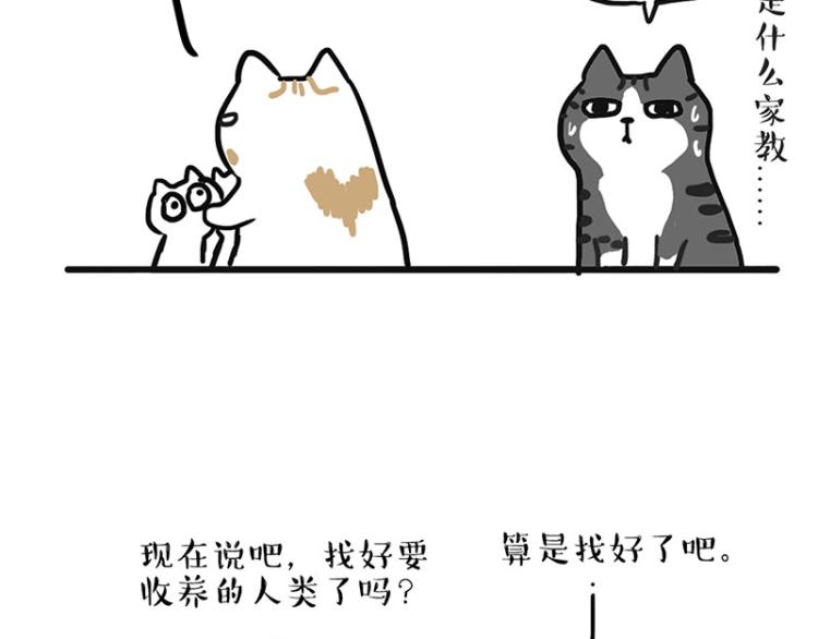 第291话 好兄弟，一辈子29
