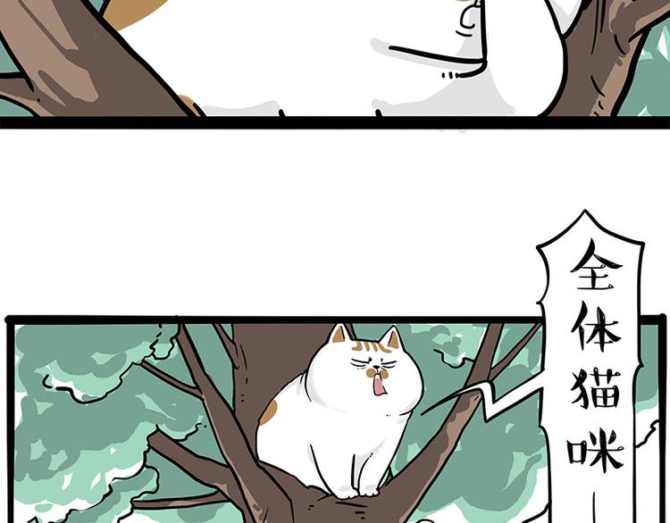 第271话 进击的流浪猫！5