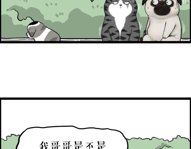 第267话 不让你流浪77