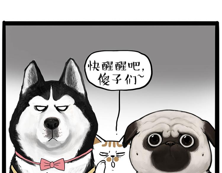 第223话 狗知识增加了22