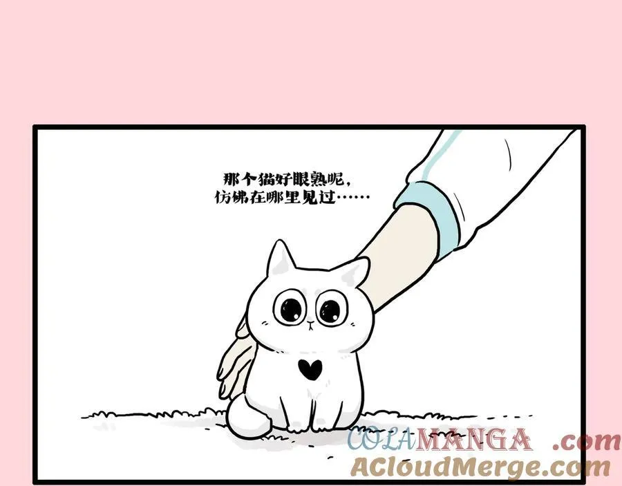第415话 不再心软42