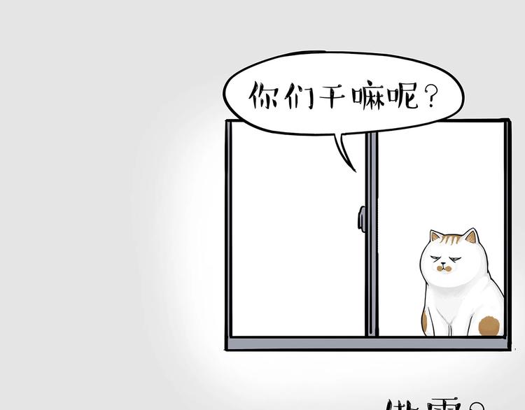 第202话 谁动了吾皇的猫粮43