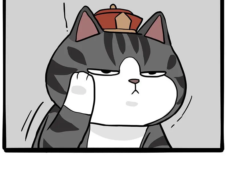 第325话 你不守猫德12