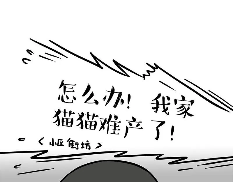 第389话 登峰造极31