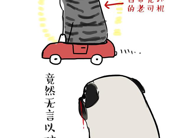 第32话 七夕你为什么还单身？13