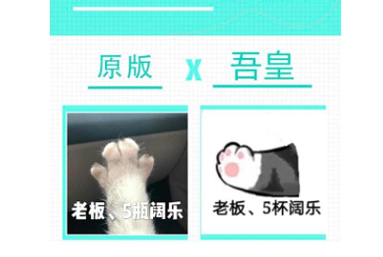 第231话 防骗指南57