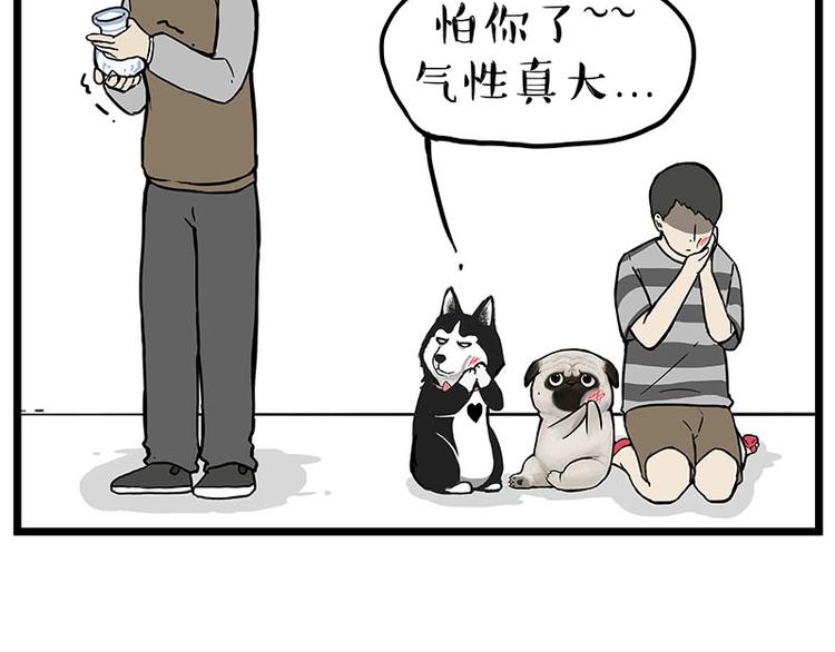 第235话 是亲生的没错吧？22