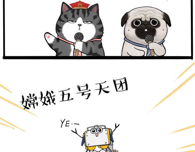 第245话 真上天了4