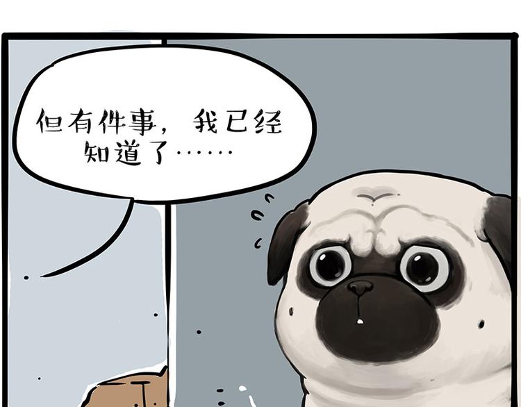 第207话 巴扎黑丢了？！59